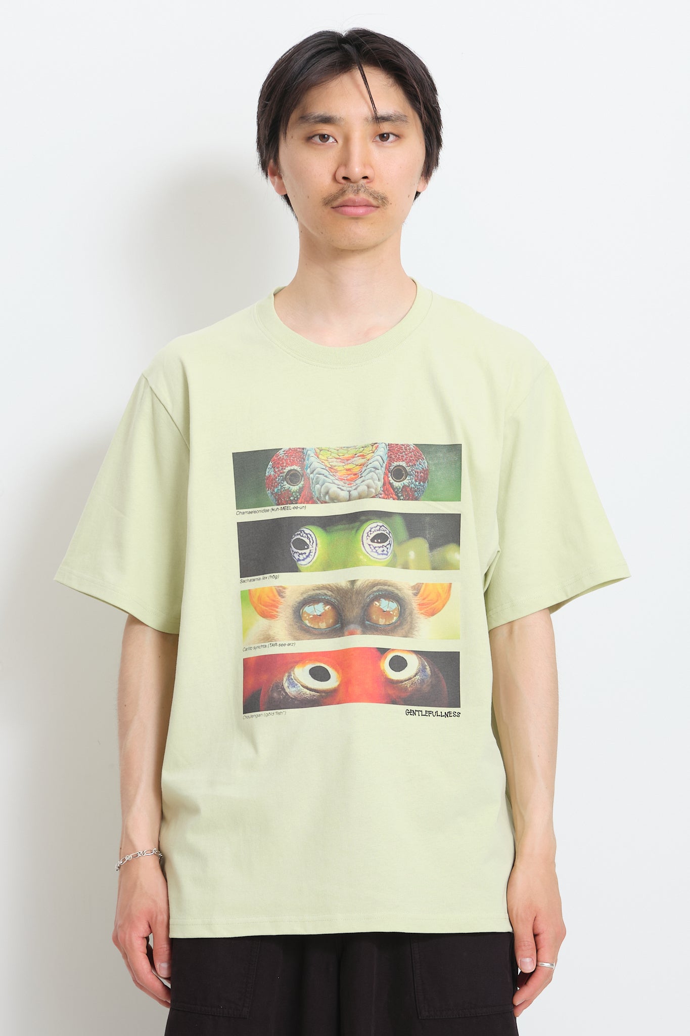 Recycled Cotton SS Tee - Pistachio Animal Eyes