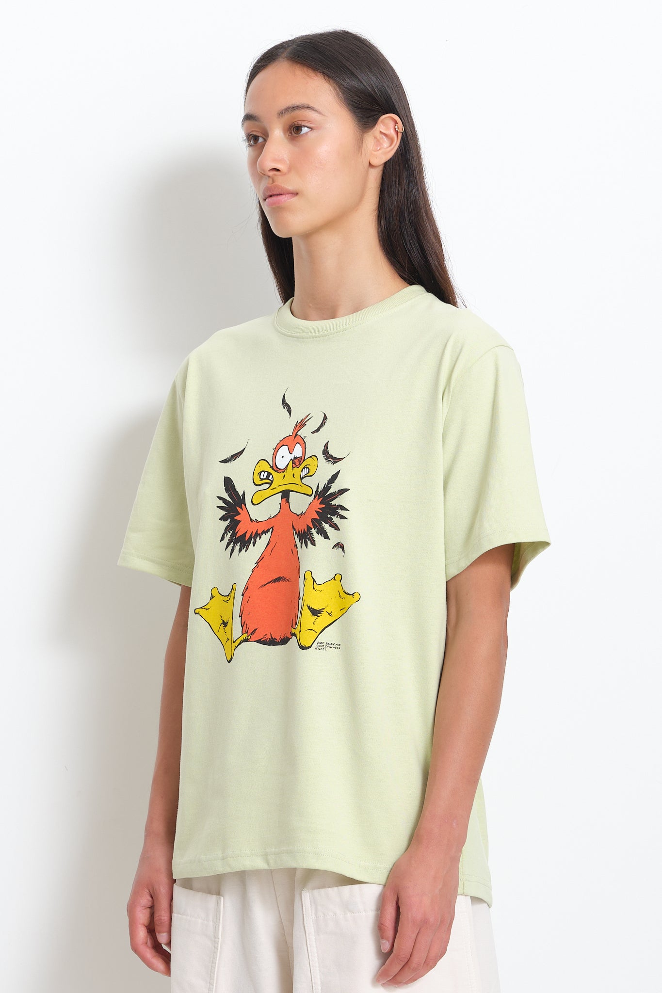 Recycled Cotton SS Tee - – Duckman Pistachio Story
