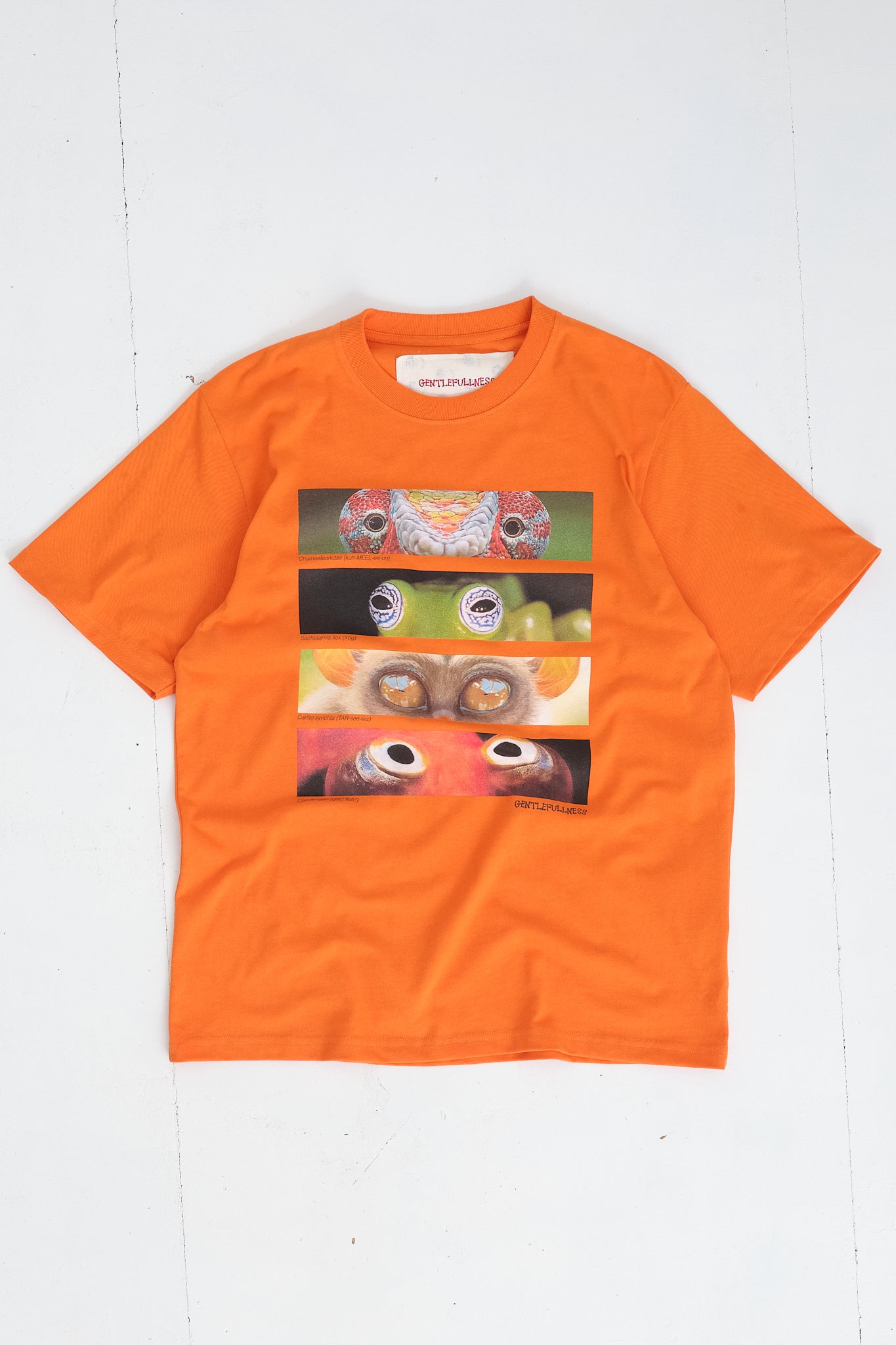 Recycled Cotton SS Tee - Golden Poppy Animal Eyes – Story mfg.