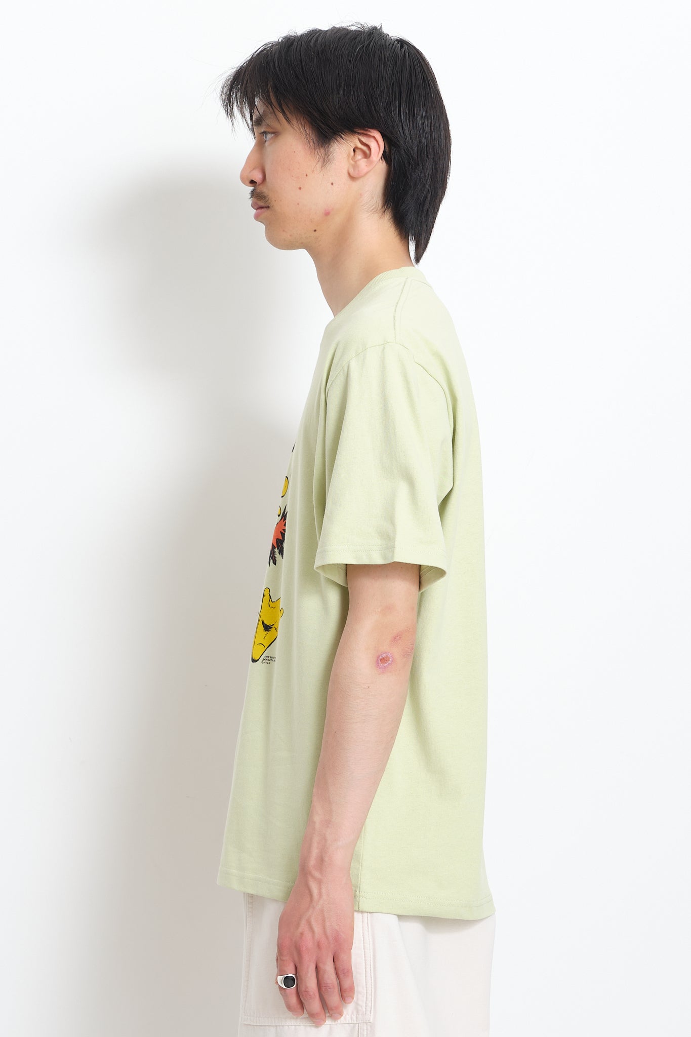 Recycled Cotton SS Tee Duckman – Pistachio - Story